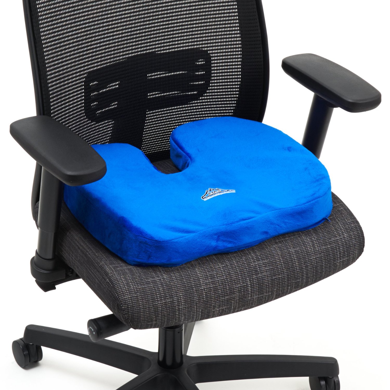 Blue Cushion In Chair 